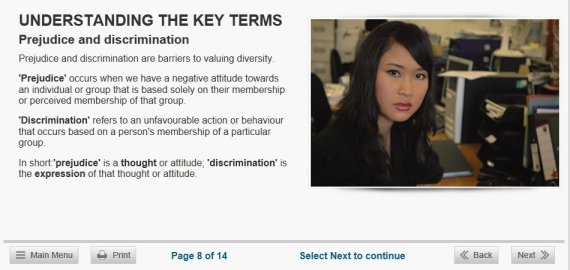 workplace diversity online training